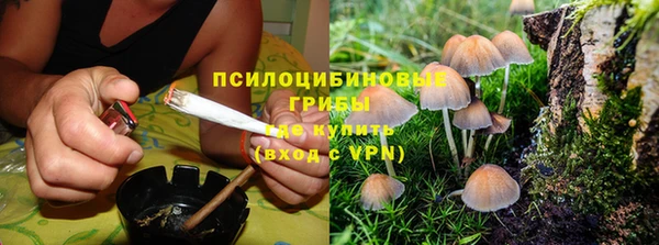 трава Алзамай