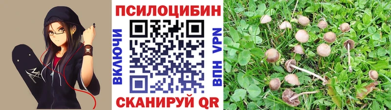 Галлюциногенные грибы прущие грибы  наркота  Назрань 